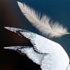 LA MOUETTE - ANTON TCHEKHOV - ven 01-mai / sam 02-mai  / dim 03-mai  /  ven 08-mai / sam 09-mai / dim 10-mai